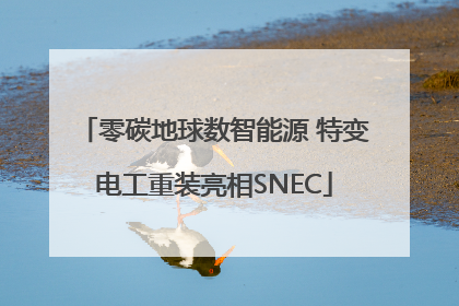 零碳地球数智能源 特变电工重装亮相SNEC