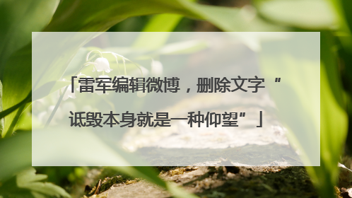 雷军编辑微博，删除文字“诋毁本身就是一种仰望”