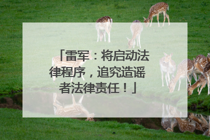 雷军：将启动法律程序，追究造谣者法律责任！