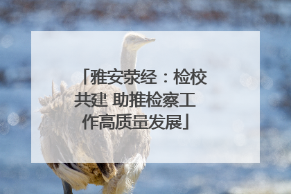 雅安荥经：检校共建 助推检察工作高质量发展