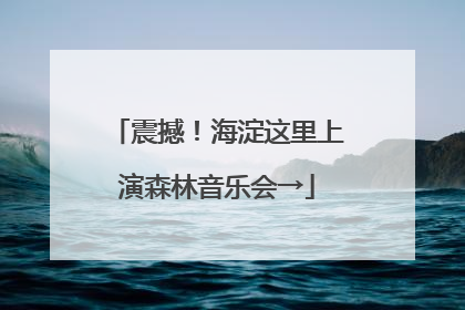 震撼！海淀这里上演森林音乐会→