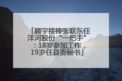 顾宇接棒张联东任洋河股份“一把手”：18岁参加工作，19岁任县委秘书