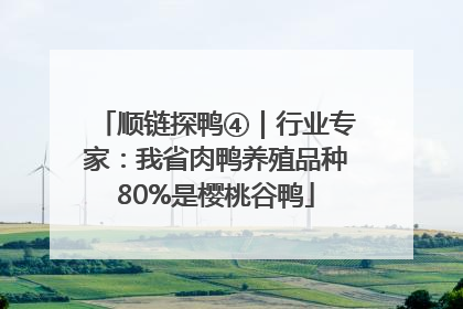 顺链探鸭④｜行业专家：我省肉鸭养殖品种80%是樱桃谷鸭