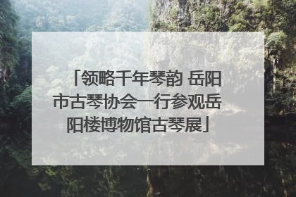 领略千年琴韵 岳阳市古琴协会一行参观岳阳楼博物馆古琴展