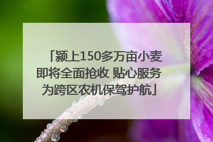 颍上150多万亩小麦即将全面抢收 贴心服务为跨区农机保驾护航