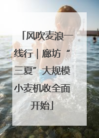 风吹麦浪一线行｜廊坊“三夏”大规模小麦机收全面开始