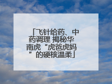 飞针给药、中药调理 揭秘华南虎“虎爸虎妈”的硬核温柔