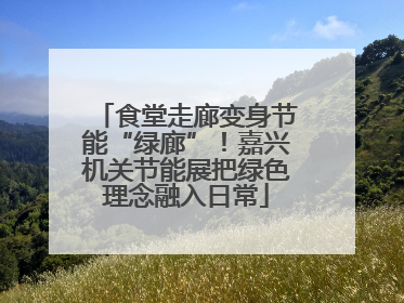 食堂走廊变身节能“绿廊”！嘉兴机关节能展把绿色理念融入日常