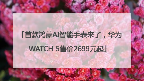 首款鸿蒙AI智能手表来了，华为WATCH 5售价2699元起