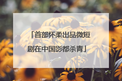 首部怀柔出品微短剧在中国影都杀青