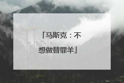 马斯克：不想做替罪羊