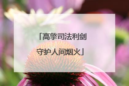 高擎司法利剑 守护人间烟火
