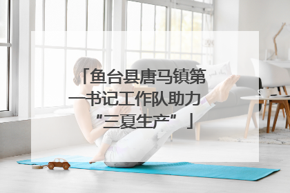 鱼台县唐马镇第一书记工作队助力“三夏生产”