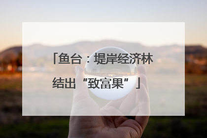 鱼台：堤岸经济林结出“致富果”