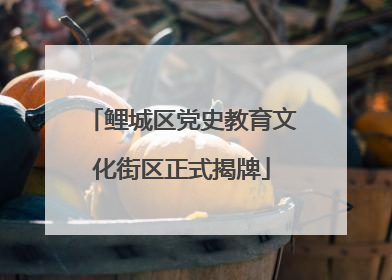 鲤城区党史教育文化街区正式揭牌