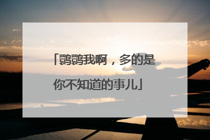 鹮鹮我啊，多的是你不知道的事儿