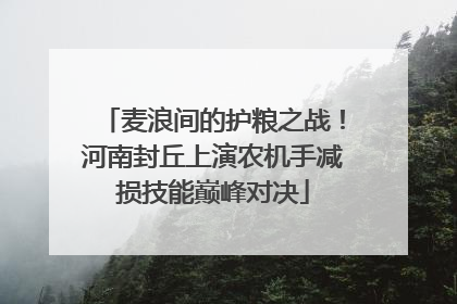麦浪间的护粮之战！河南封丘上演农机手减损技能巅峰对决