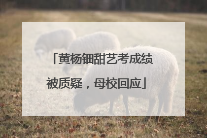 黄杨钿甜艺考成绩被质疑，母校回应