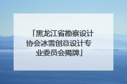 黑龙江省勘察设计协会冰雪创意设计专业委员会揭牌