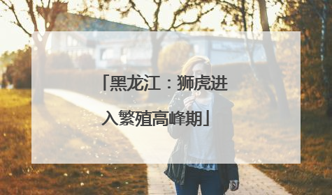 黑龙江：狮虎进入繁殖高峰期