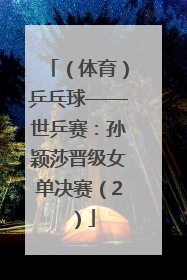 （体育）乒乓球——世乒赛：孙颖莎晋级女单决赛（2）