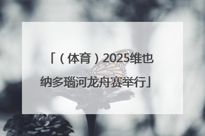 （体育）2025维也纳多瑙河龙舟赛举行