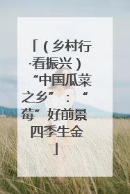 （乡村行·看振兴）“中国瓜菜之乡”：“莓”好前景 四季生金