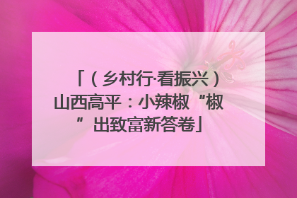 （乡村行·看振兴）山西高平：小辣椒“椒”出致富新答卷