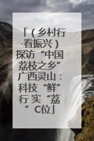 （乡村行·看振兴）探访“中国荔枝之乡”广西灵山：科技“鲜”行 实“荔”C位