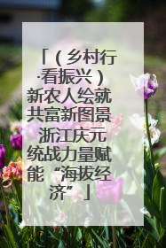 （乡村行·看振兴）新农人绘就共富新图景 浙江庆元统战力量赋能“海拔经济”