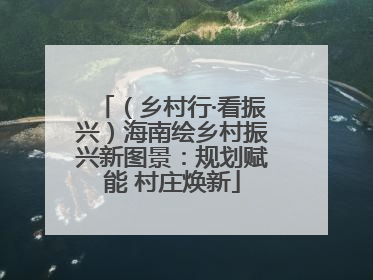 （乡村行·看振兴）海南绘乡村振兴新图景：规划赋能 村庄焕新