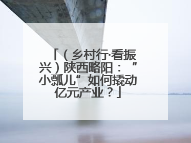 （乡村行·看振兴）陕西略阳：“小瓢儿”如何撬动亿元产业？