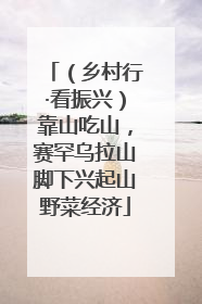 （乡村行·看振兴）靠山吃山，赛罕乌拉山脚下兴起山野菜经济