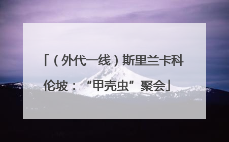 （外代一线）斯里兰卡科伦坡：“甲壳虫”聚会