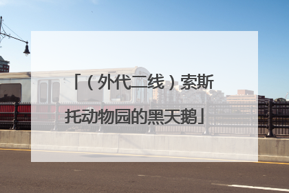 （外代二线）索斯托动物园的黑天鹅