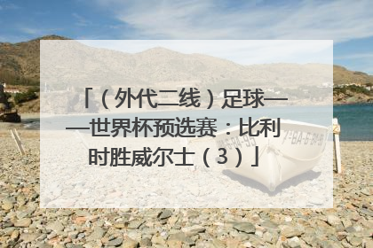 （外代二线）足球——世界杯预选赛：比利时胜威尔士（3）