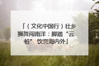 （文化中国行）壮乡狮舞闯南洋：脚踏“云桩” 饮誉海内外
