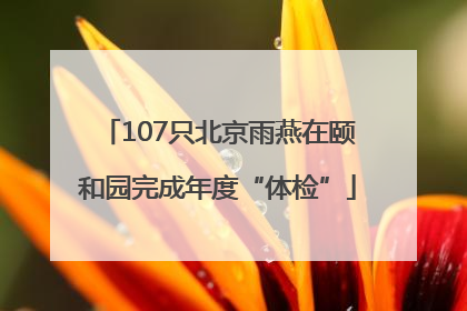 107只北京雨燕在颐和园完成年度“体检”