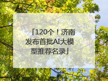 120个！济南发布首批AI大模型推荐名录