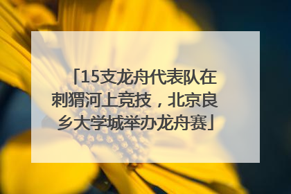 15支龙舟代表队在刺猬河上竞技，北京良乡大学城举办龙舟赛