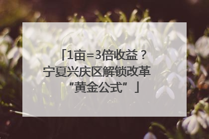 1亩=3倍收益？宁夏兴庆区解锁改革“黄金公式”