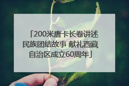 200米唐卡长卷讲述民族团结故事 献礼西藏自治区成立60周年