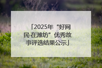 2025年“好网民·在潍坊”优秀故事评选结果公示