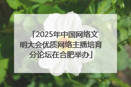 2025年中国网络文明大会优质网络主播培育分论坛在合肥举办