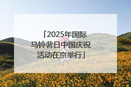 2025年国际马铃薯日中国庆祝活动在京举行