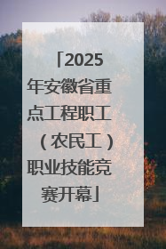 2025年安徽省重点工程职工（农民工）职业技能竞赛开幕