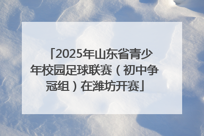 2025年山东省青少年校园足球联赛（初中争冠组）在潍坊开赛
