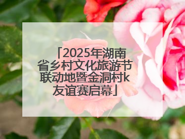 2025年湖南省乡村文化旅游节联动地暨金洞村k友谊赛启幕