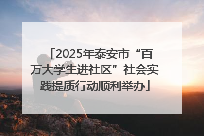 2025年泰安市“百万大学生进社区”社会实践提质行动顺利举办