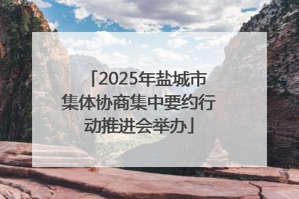 2025年盐城市集体协商集中要约行动推进会举办